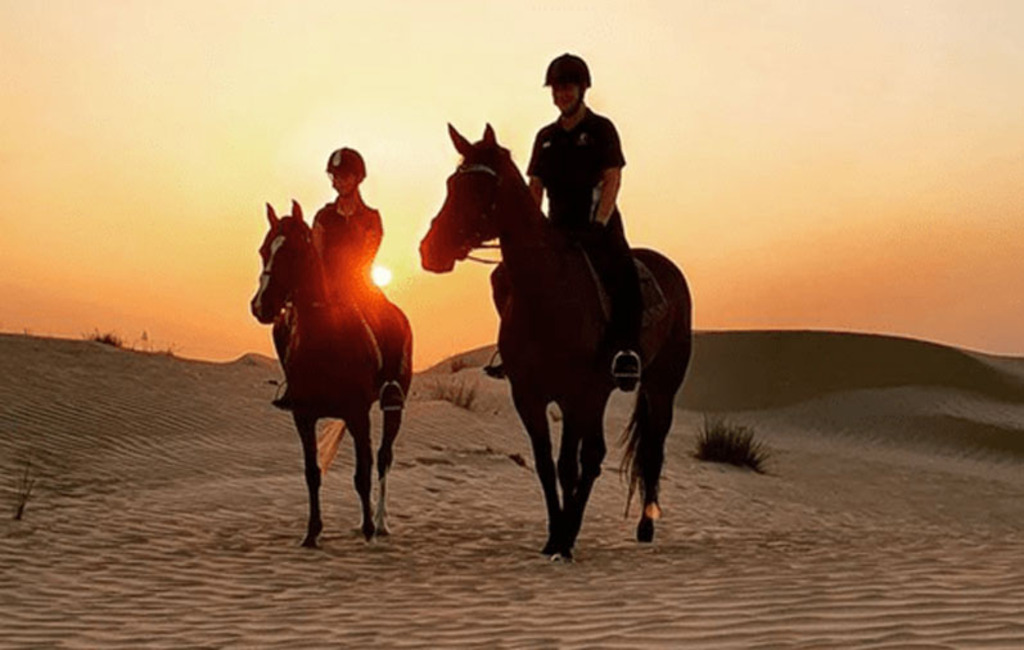 Horse Riding Dubai Desert